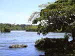 The Nile