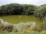 Wrack Hills Pond