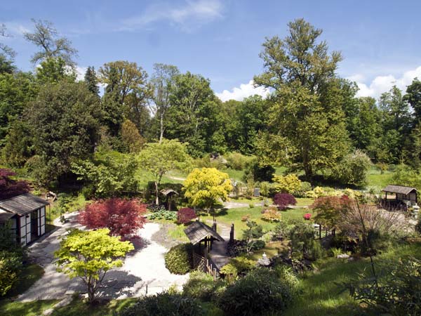 Japanese Garden,Kingston Lacy,House,Tourist,Visitor,Attraction