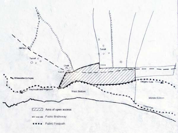 Chaldon Down,Map,Ringstead