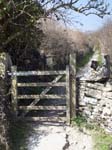 Through the Gate