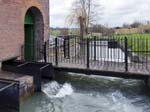 The Canal Feeder
