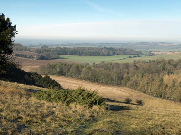 View,Beacon Hill,Farley Mount