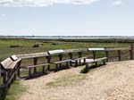 The Lookout
