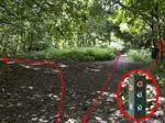 The dog bin and the waymark