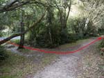 Turn left on to the path