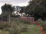 The stock pen