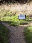 Hamble Common