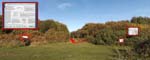 Hamble Common