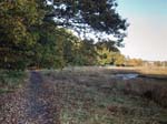 Hamble Common