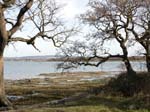 Chichester Harbour