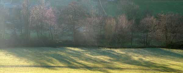 Ashover,Trees,Winter