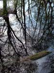 A Pool of Water