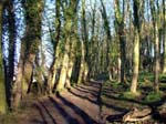 Near Ashover