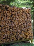 Some Logs