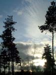 Arne