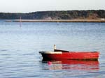 Arne